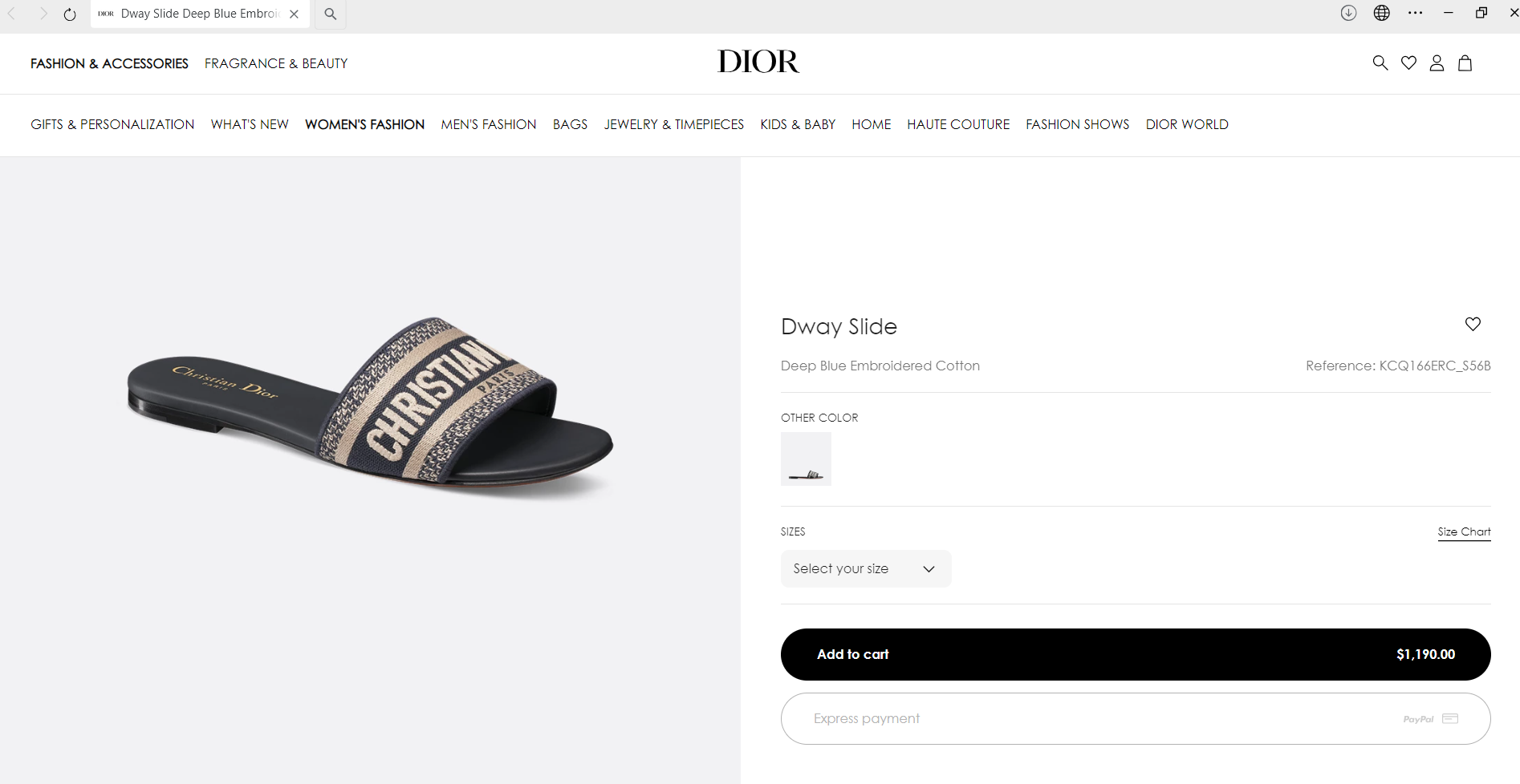 dior slipper.PNG