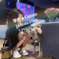 ★Jennifer学府悉尼★高颜甜美小萝莉口活王cassie